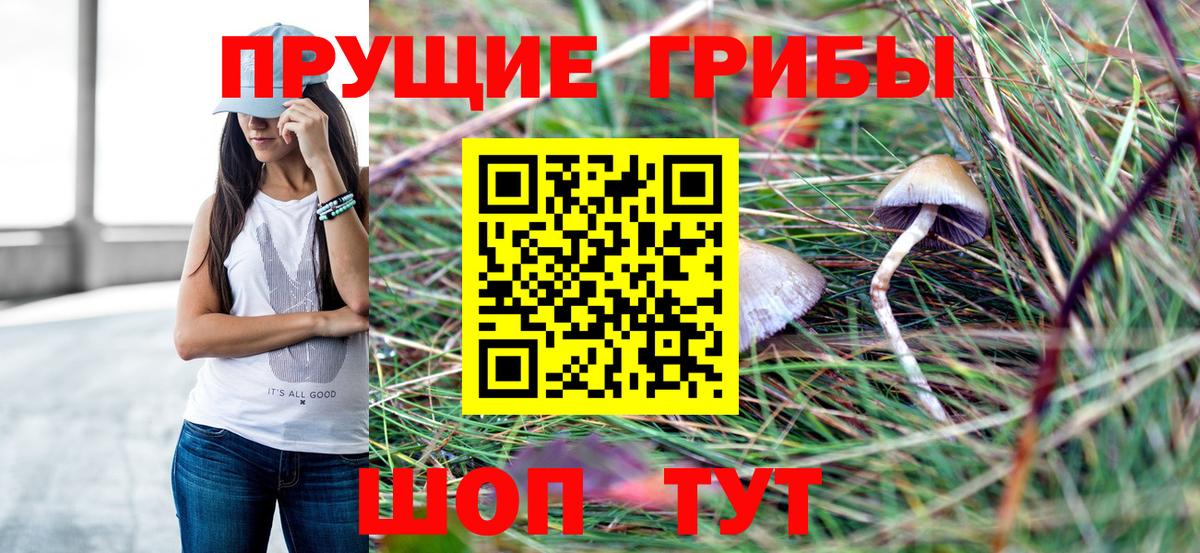 Асбест  магазин    Вход с VPN  Галлюциногенные грибы GOLDEN TEACHER 